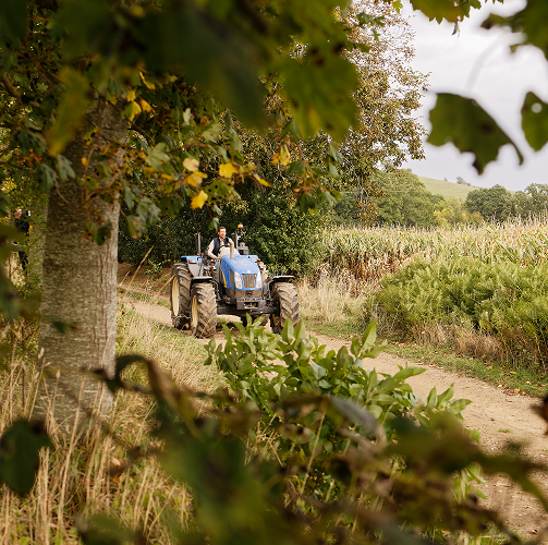 Foto van een veehouder uit Loué op een tractor - Doel: 100% A-cijfers