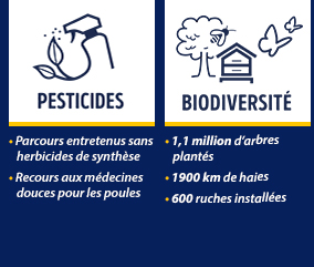 Pesticides : Recours aux médecines douces pour les poules / Biodiversité : 1,1 million d'arbres plantés