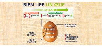 Bien lire un œuf : que signifient les chiffres 0, 1, 2, 3 ?