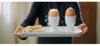 Œufs : bienfaits santé, protéines et atouts nutritionnels