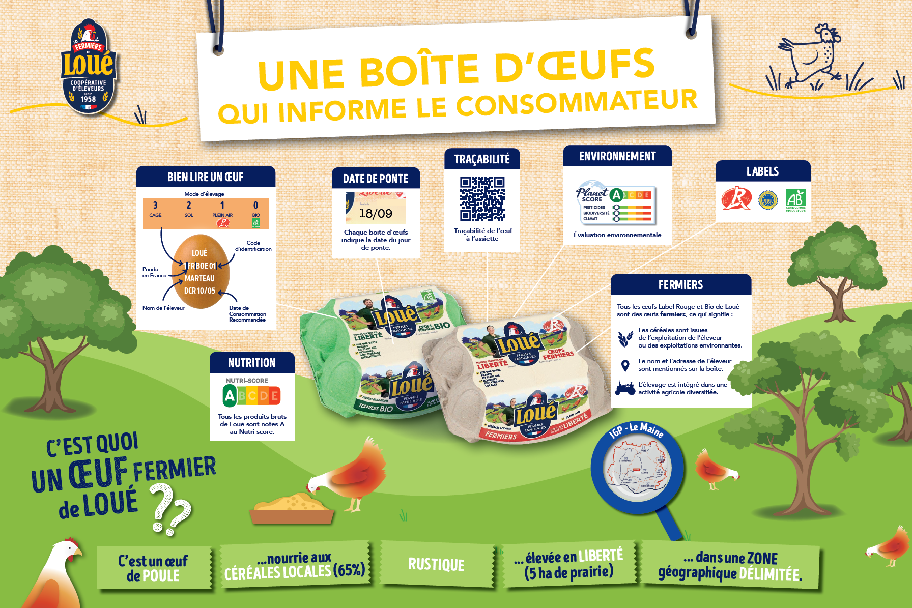 capture-bien-lire-un-oeuf.png
