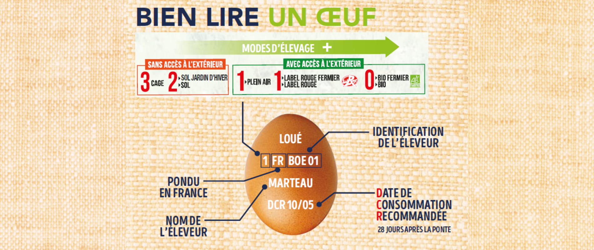Bien lire un œuf : que signifient les chiffres 0, 1, 2, 3 ?