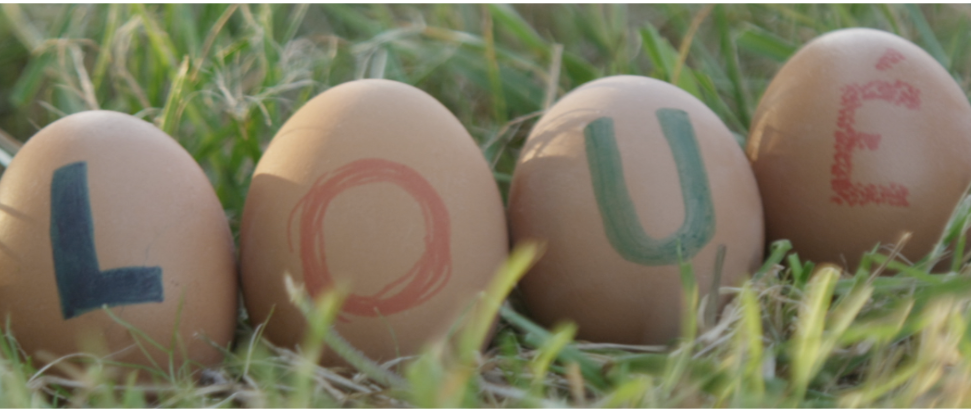 Comment savoir si un œuf est frais ? Astuces et durée de conservation des œufs